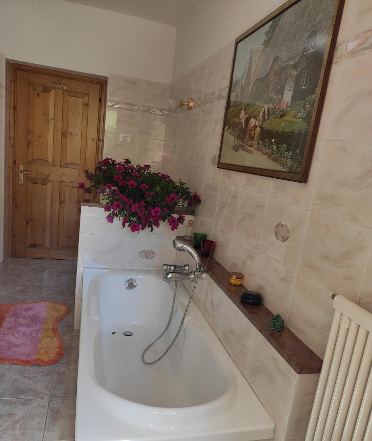 Casa "Berto E Costantina" Daire Tregiovo Dış mekan fotoğraf