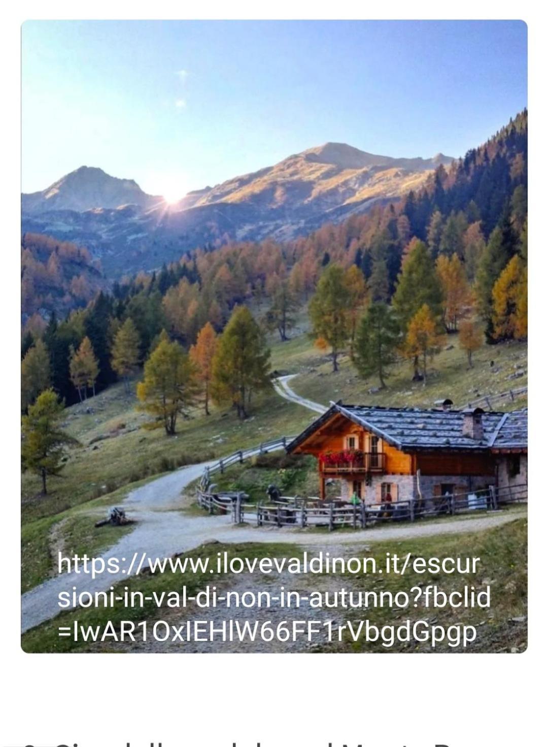 Casa "Berto E Costantina" Daire Tregiovo Oda fotoğraf